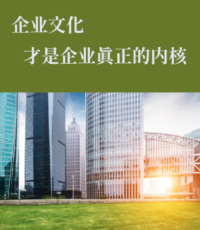 从选型到部署：浙江视境机器视觉整套方案实施要点
