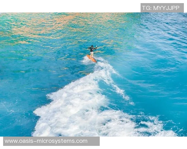 极限运动战术解析南京极限运动队的创新进攻体系探讨