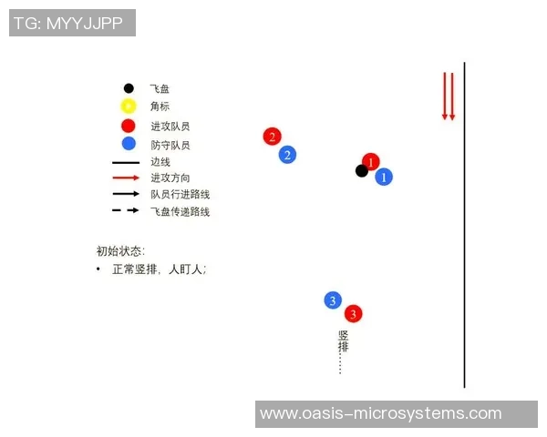 深入分析上海飞盘队防守策略与战术特点的专业解读