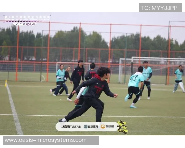 深圳飞盘队在飞盘节奏排名中创下新高引领全国潮流