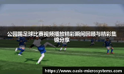 公园踢足球比赛视频播放精彩瞬间回顾与精彩集锦分享