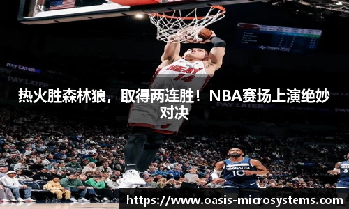 热火胜森林狼，取得两连胜！NBA赛场上演绝妙对决