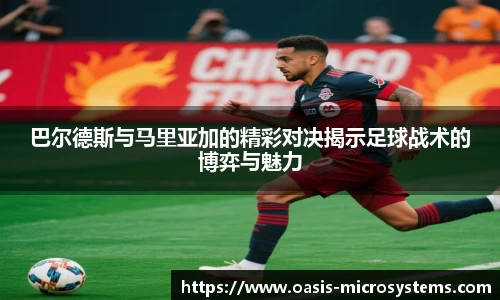 完美体育365平台官网