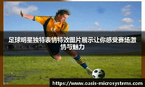 完美体育365平台官网